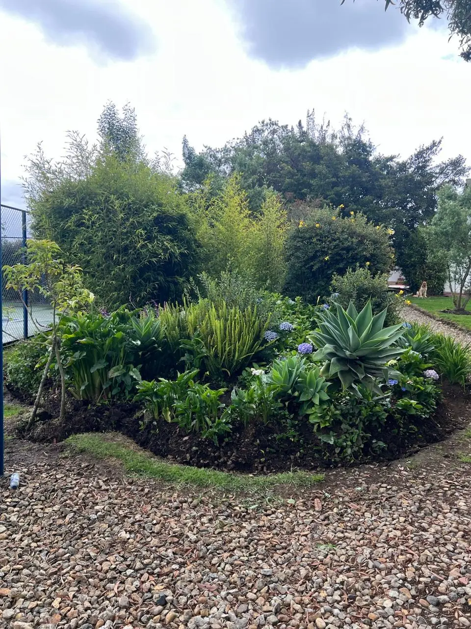 Jardinería profesional · Plantemos Bogotá #5