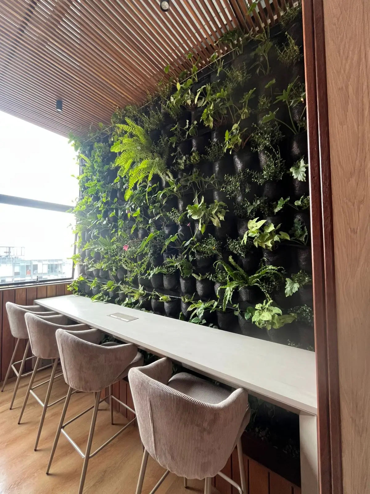 Jardinería profesional · Plantemos Bogotá #9