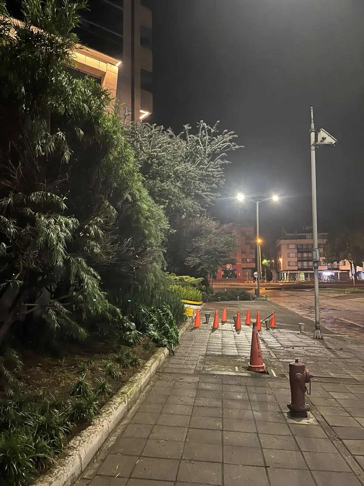Mantenimiento profesional de jardines · Plantemos Bogotá #6