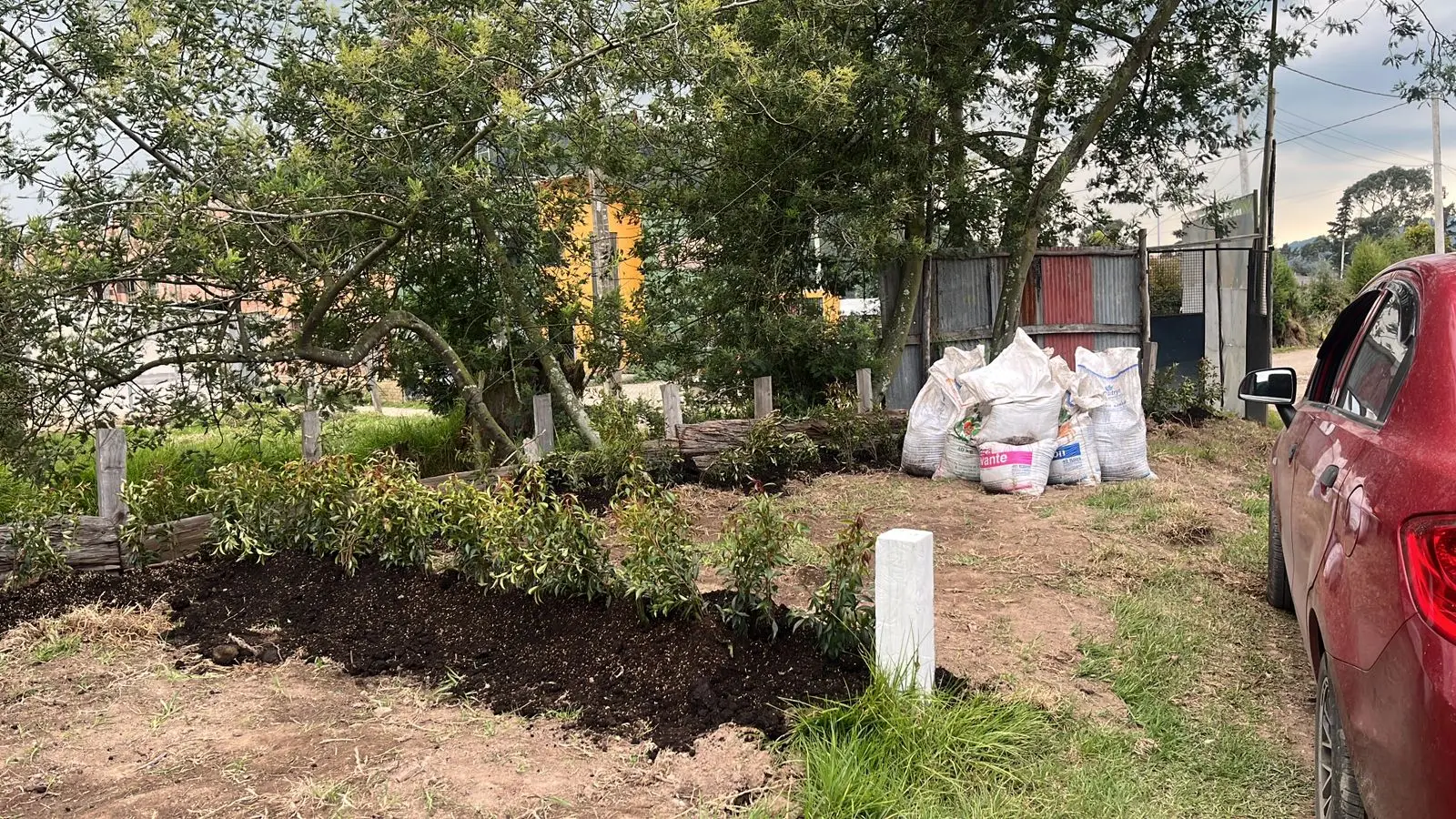 Mantenimiento profesional de jardines · Plantemos Bogotá #12