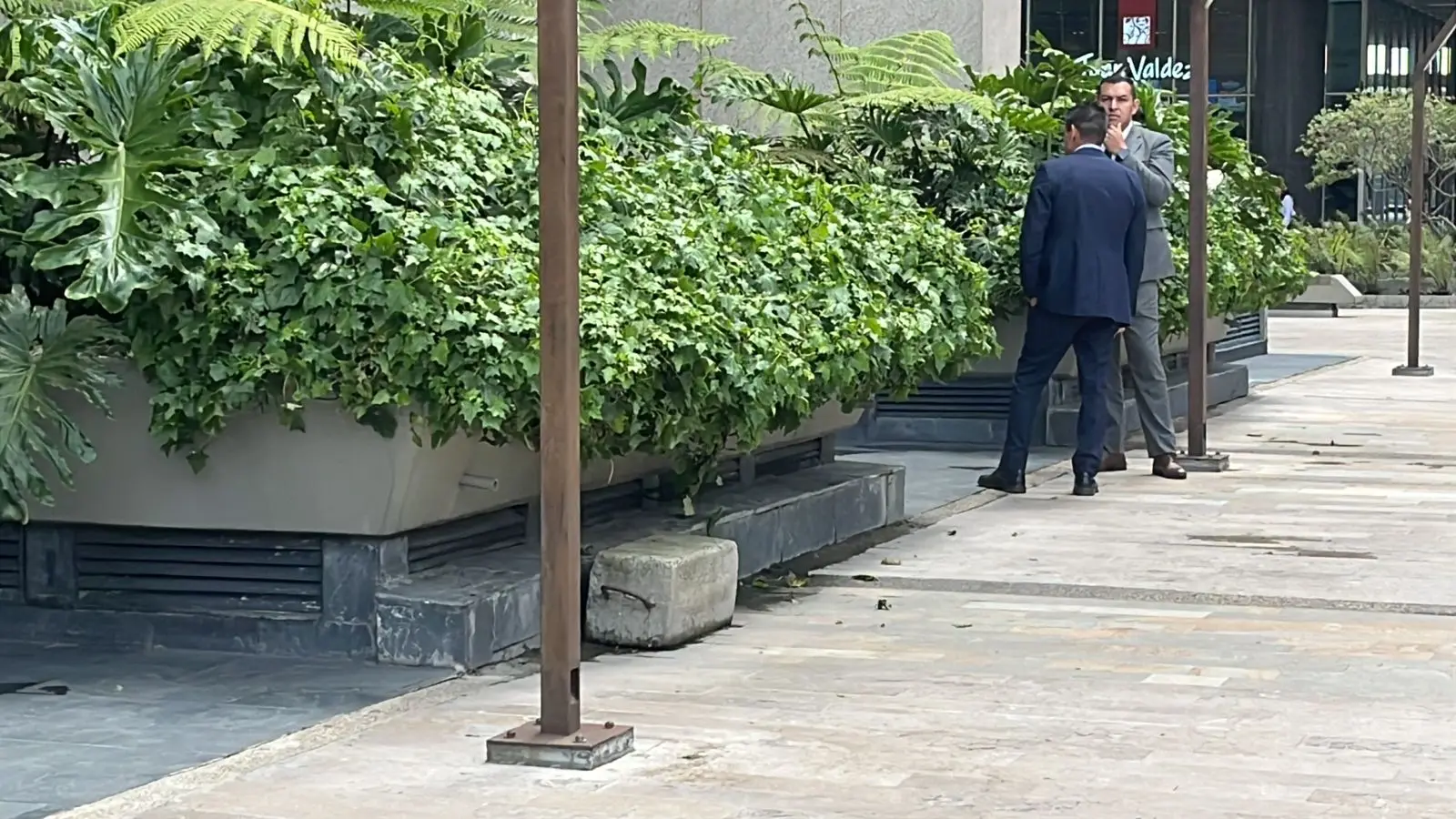 Mantenimiento profesional de jardines · Plantemos Bogotá #13