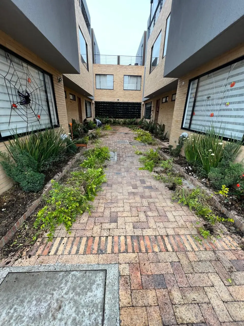 Mantenimiento profesional de jardines · Plantemos Bogotá #17