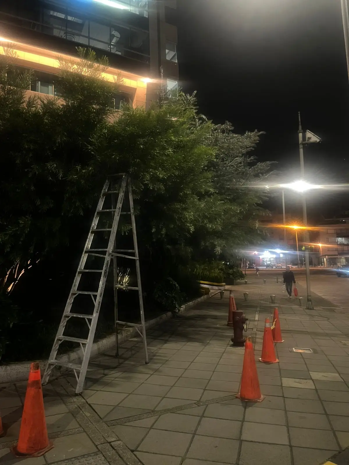 Mantenimiento profesional de jardines · Plantemos Bogotá #18