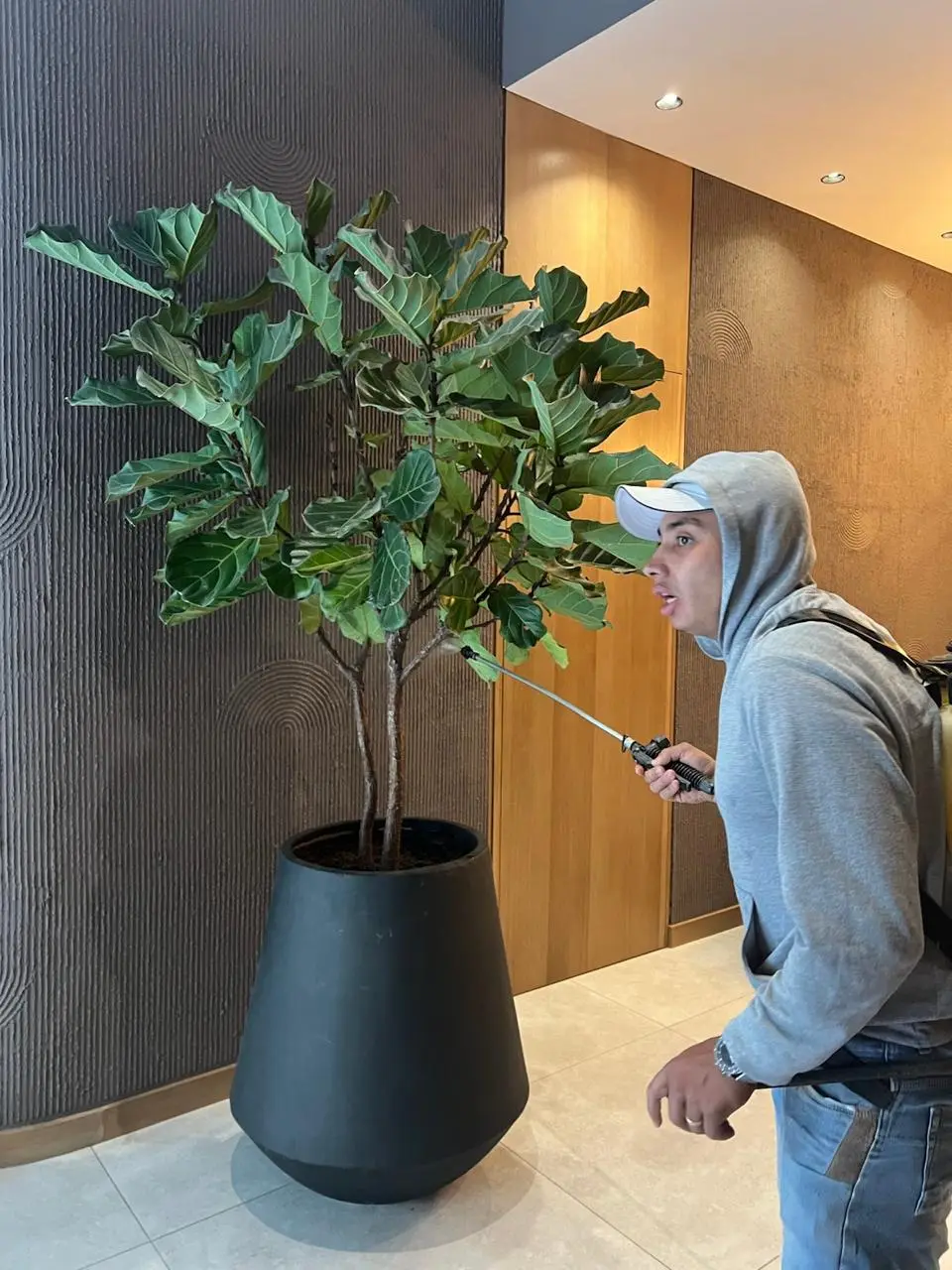 Mantenimiento profesional de jardines · Plantemos Bogotá #22