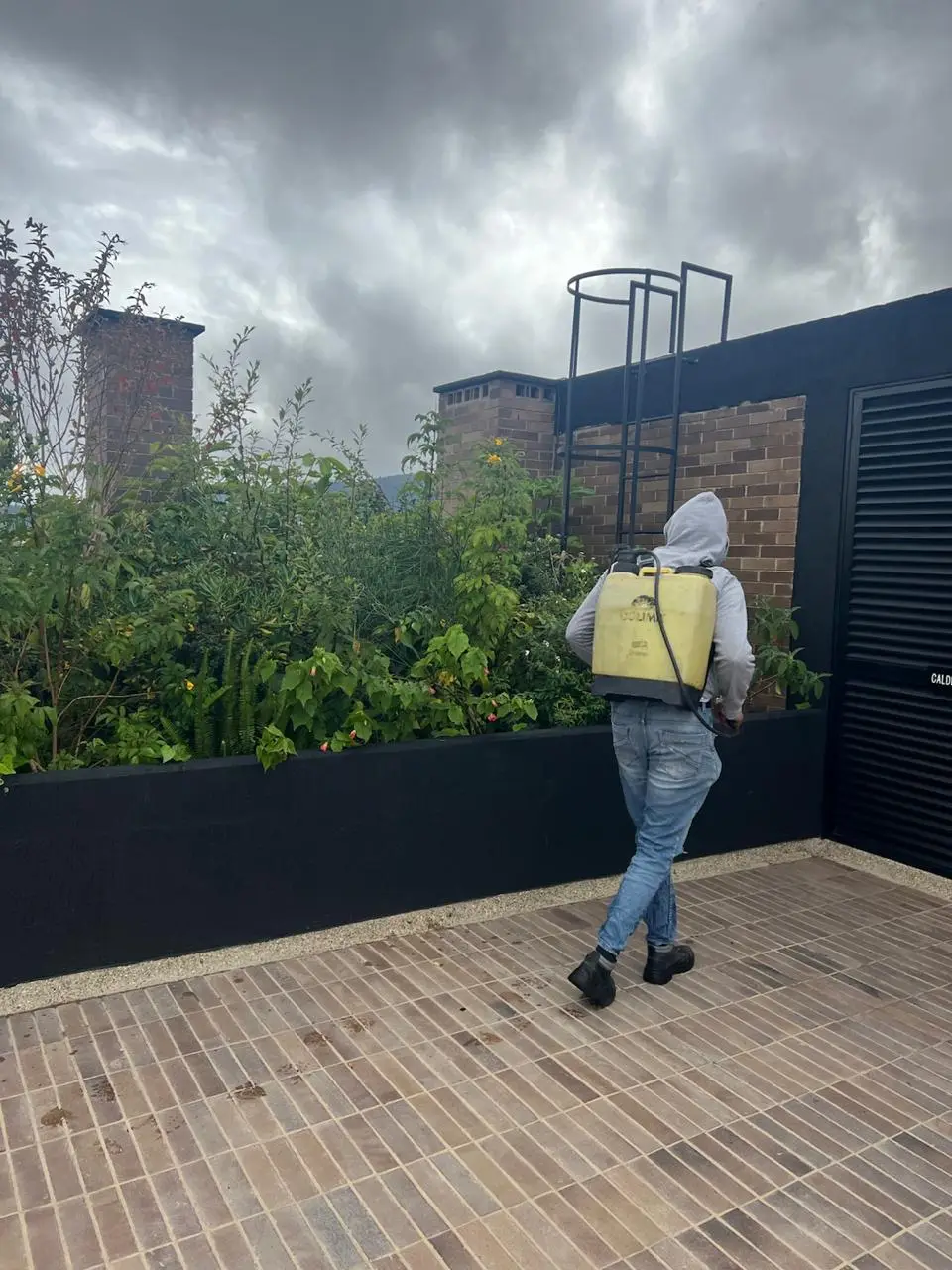 Mantenimiento profesional de jardines · Plantemos Bogotá #23