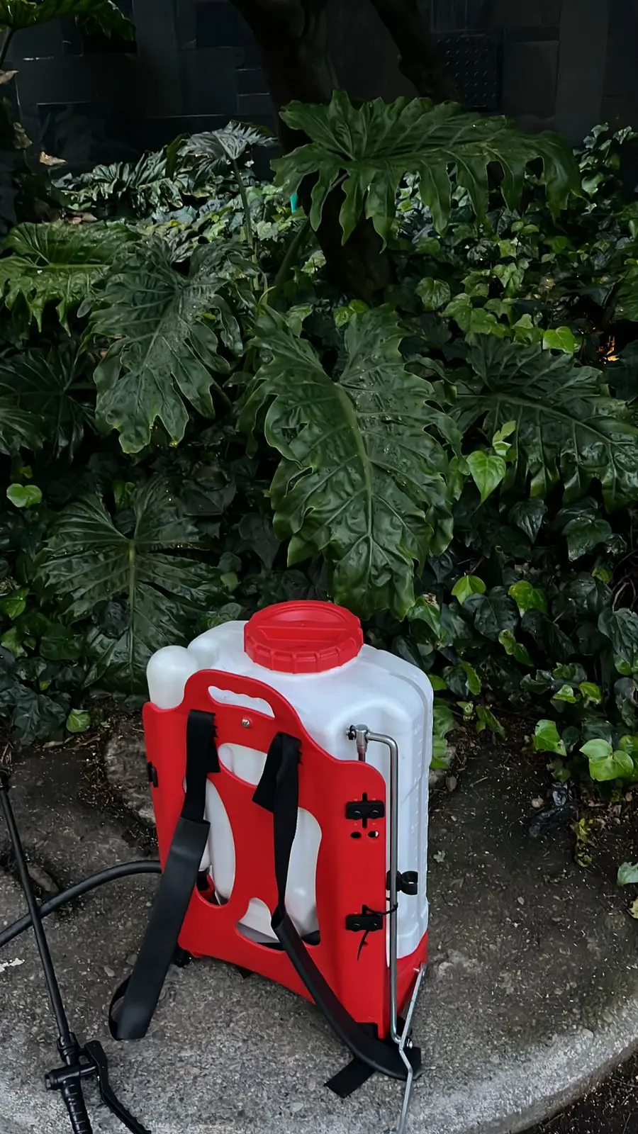 Mantenimiento profesional de jardines · Plantemos Bogotá #30