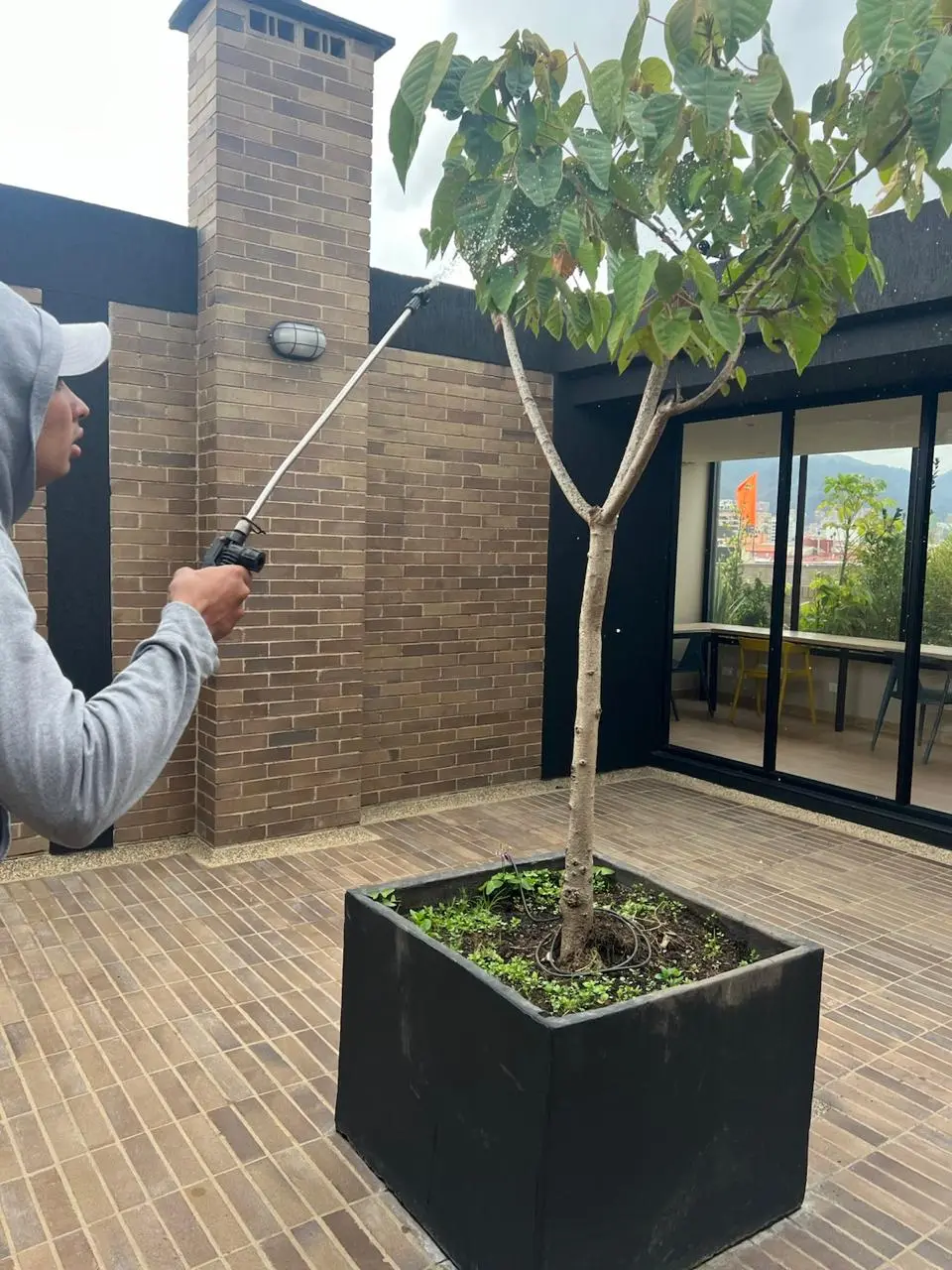 Mantenimiento profesional de jardines · Plantemos Bogotá #32