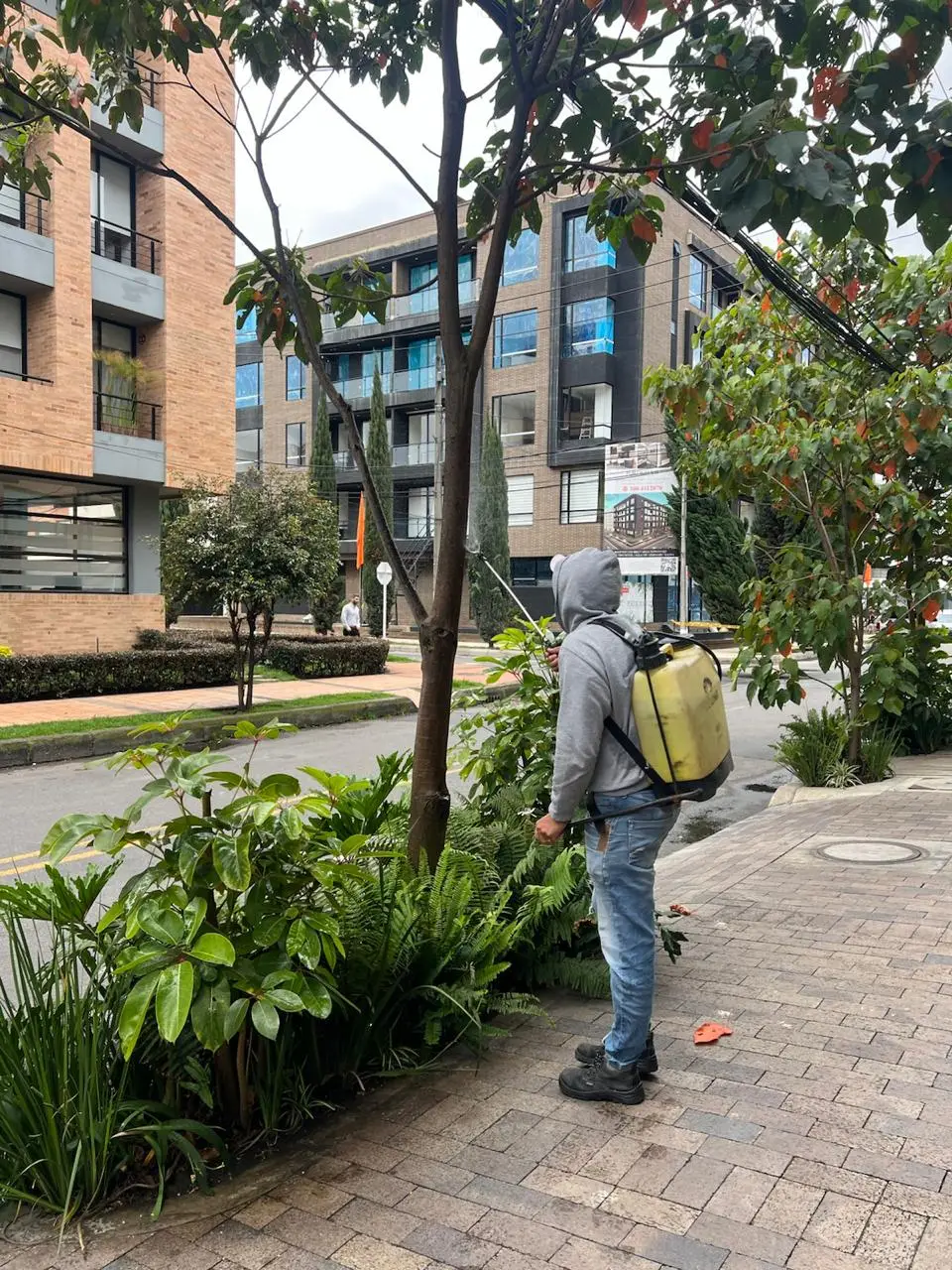 Mantenimiento profesional de jardines · Plantemos Bogotá #33