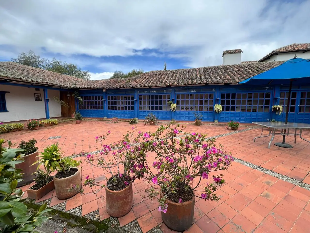 Proyecto de paisajismo y diseño de jardines · Plantemos Bogotá #2