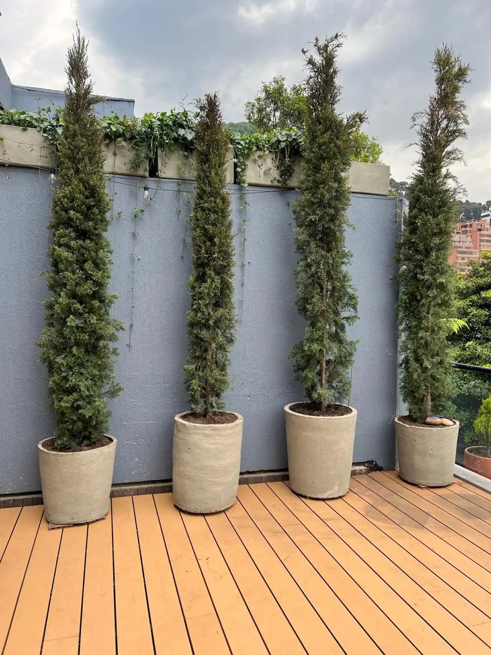 Proyecto de paisajismo y diseño de jardines · Plantemos Bogotá #13