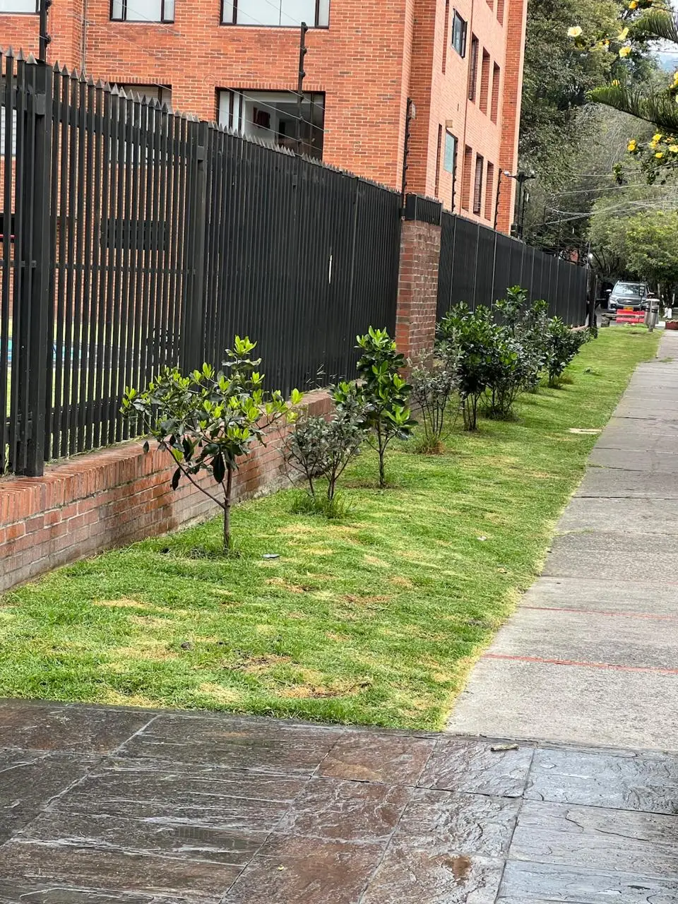 Proyecto de paisajismo y diseño de jardines · Plantemos Bogotá #17