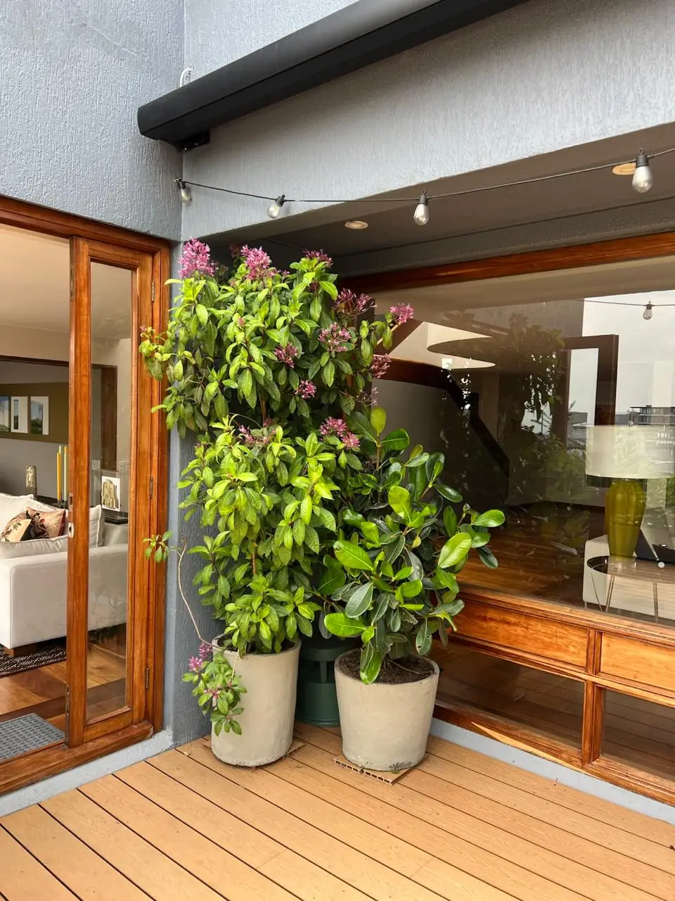 Proyecto de paisajismo y diseño de jardines · Plantemos Bogotá #20