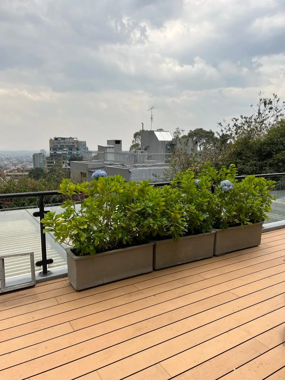 Proyecto de paisajismo y diseño de jardines · Plantemos Bogotá #21