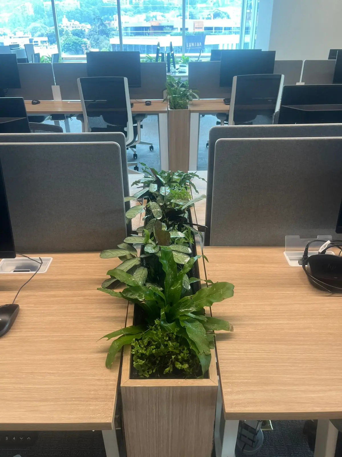 Proyecto de paisajismo y diseño de jardines · Plantemos Bogotá #35