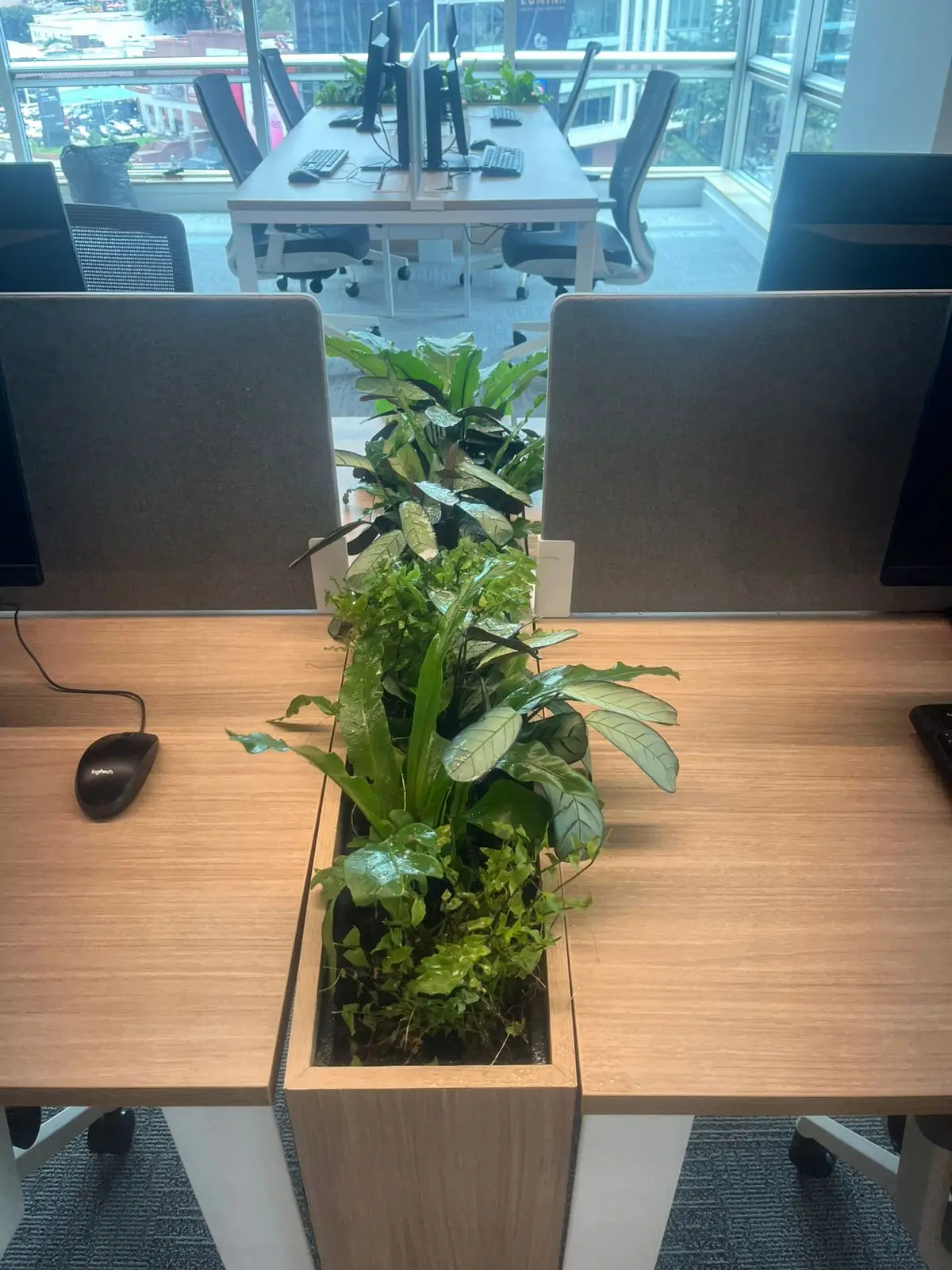 Proyecto de paisajismo y diseño de jardines · Plantemos Bogotá #36