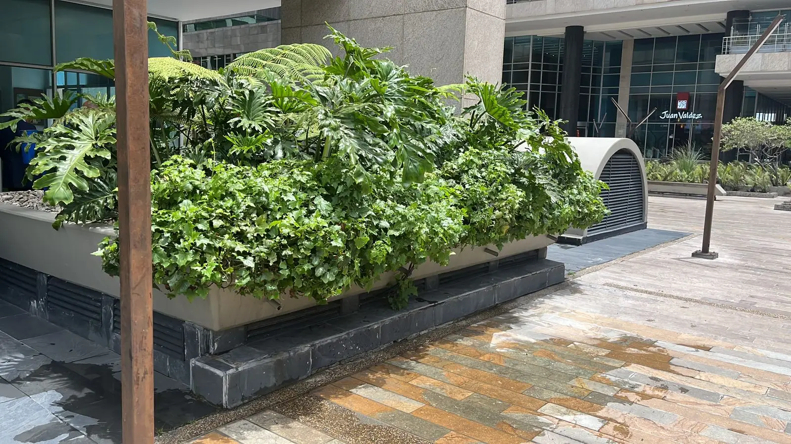 Proyecto de paisajismo y diseño de jardines · Plantemos Bogotá #37