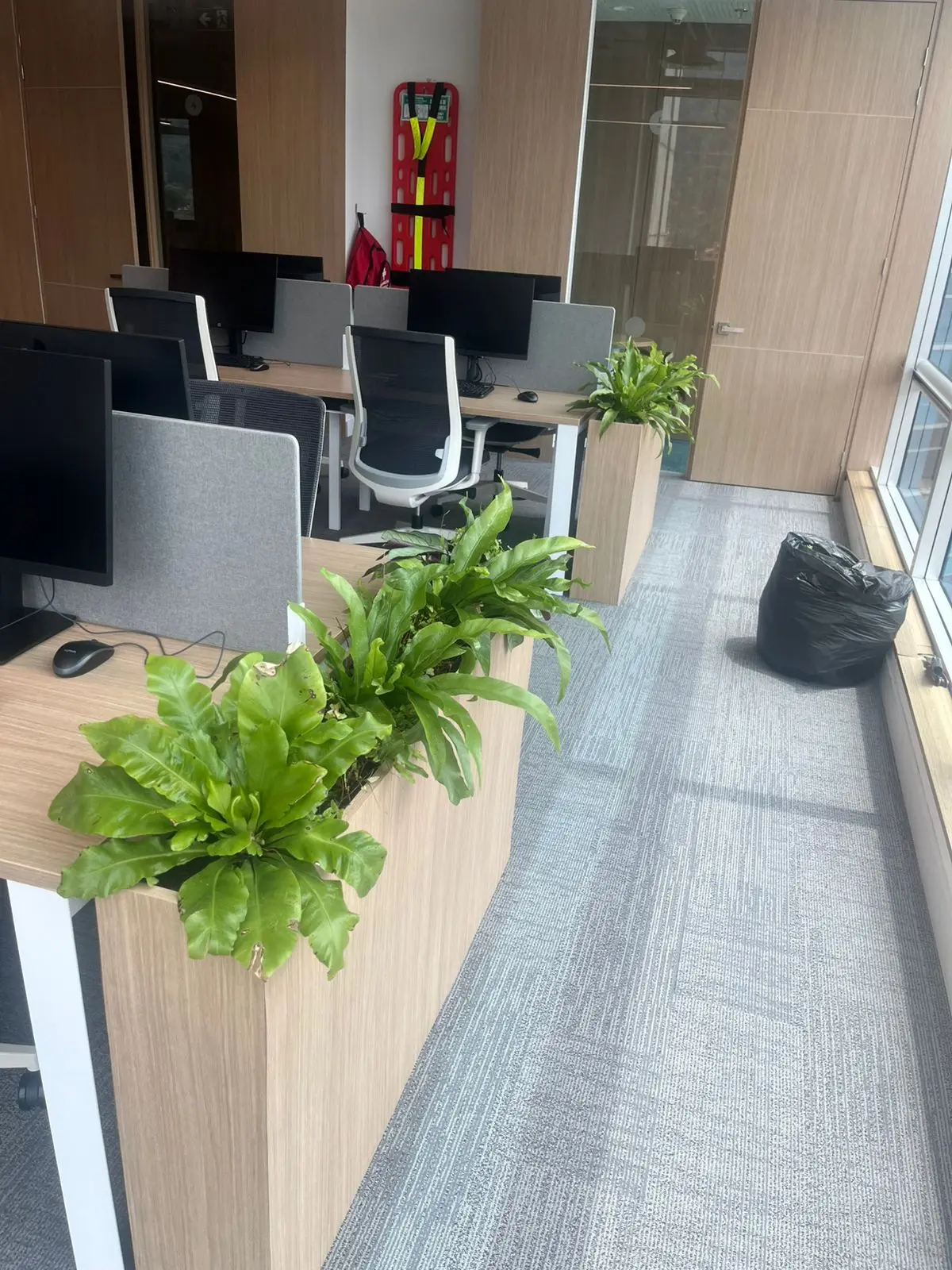Proyecto de paisajismo y diseño de jardines · Plantemos Bogotá #38