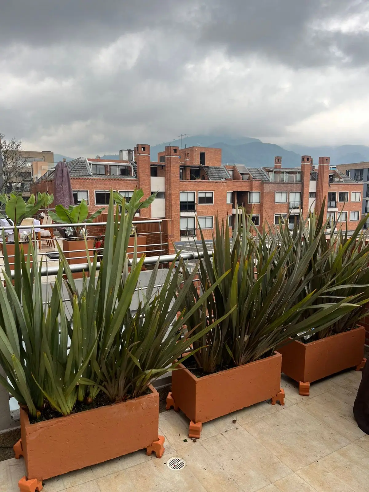 Proyecto de paisajismo y diseño de jardines · Plantemos Bogotá #54