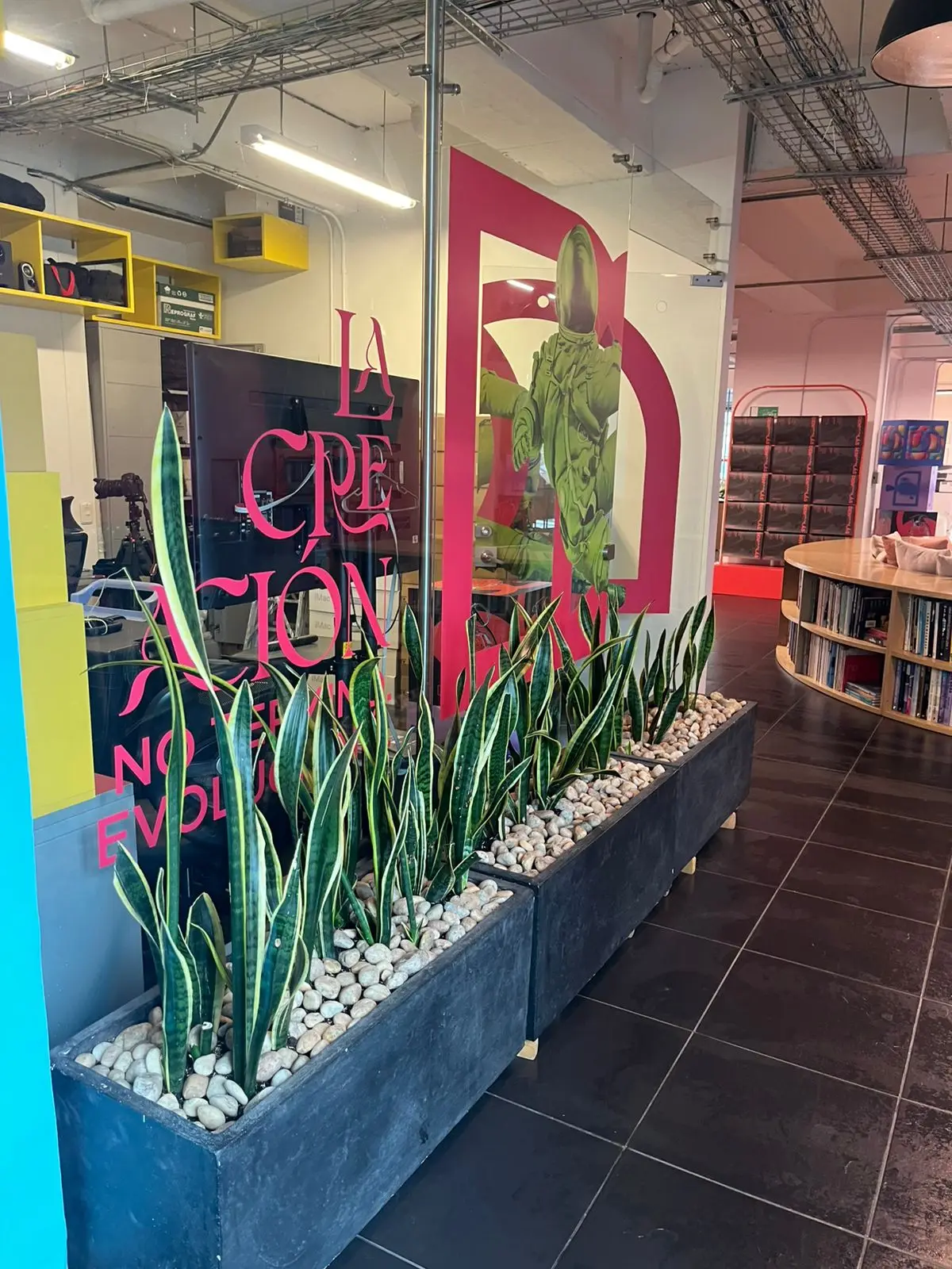Proyecto de paisajismo y diseño de jardines · Plantemos Bogotá #61