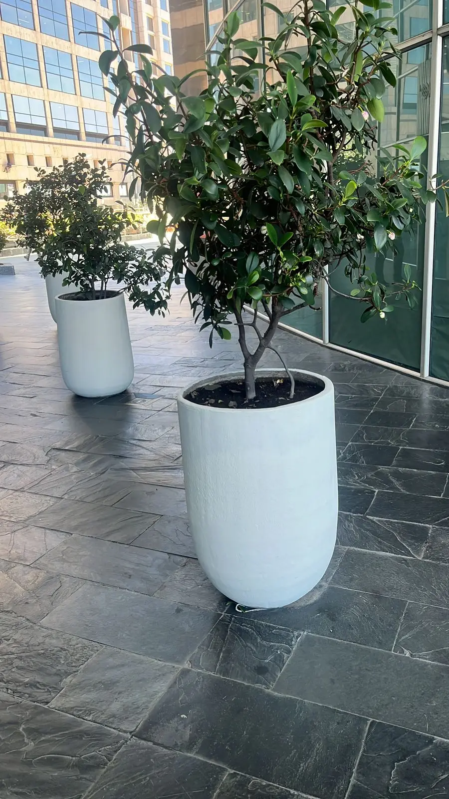 Proyecto de paisajismo y diseño de jardines · Plantemos Bogotá #62