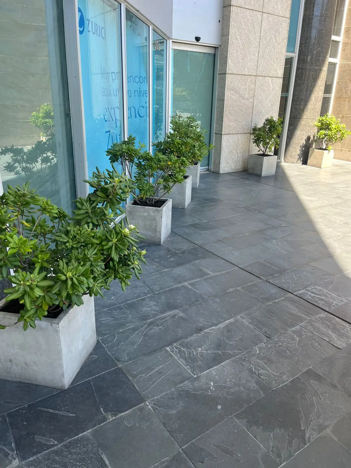 Proyecto de paisajismo y diseño de jardines · Plantemos Bogotá #63