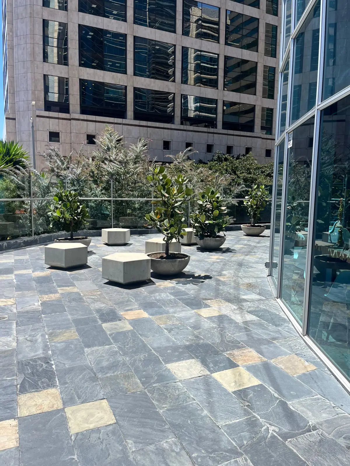 Proyecto de paisajismo y diseño de jardines · Plantemos Bogotá #64
