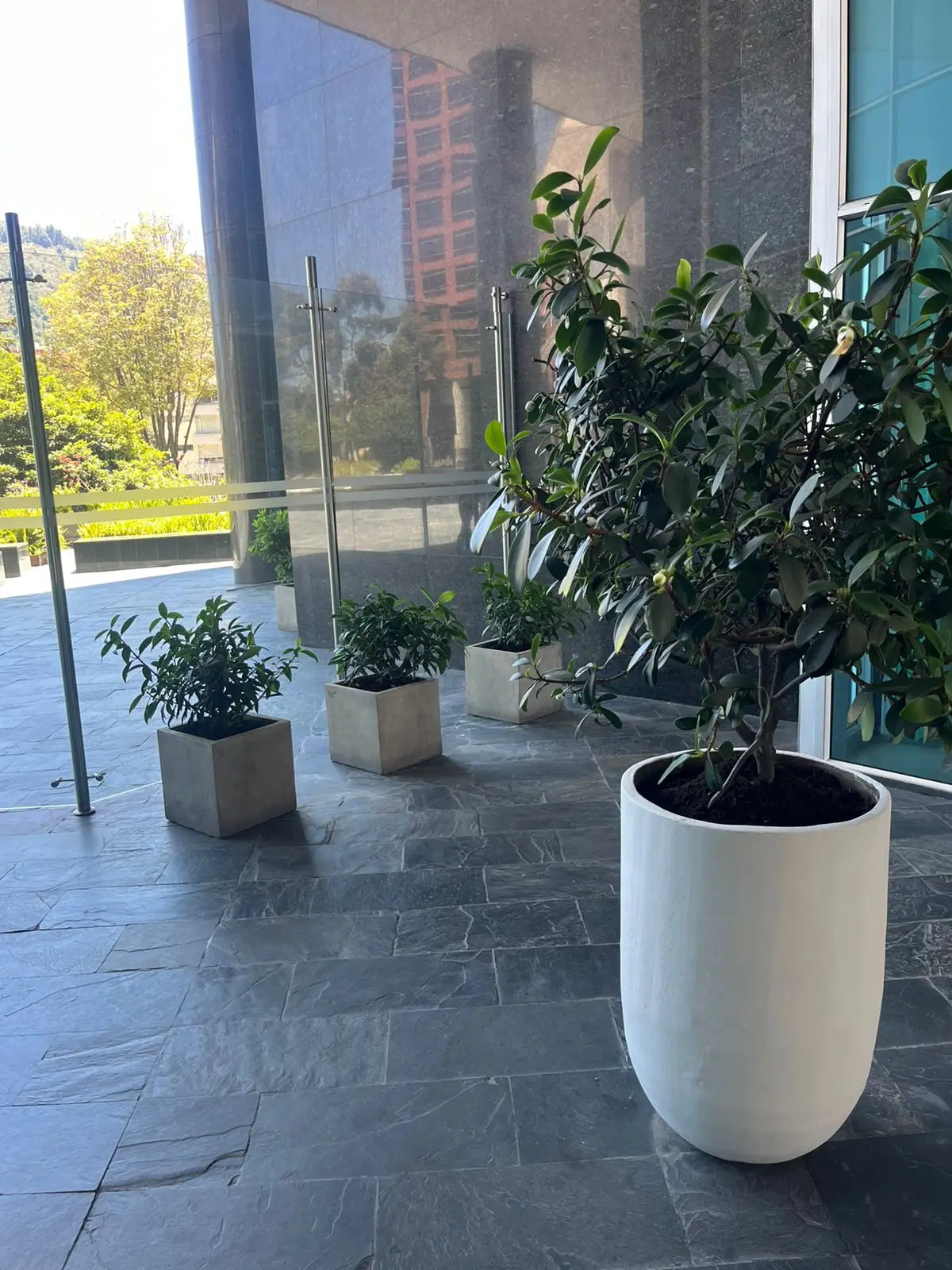 Proyecto de paisajismo y diseño de jardines · Plantemos Bogotá #67