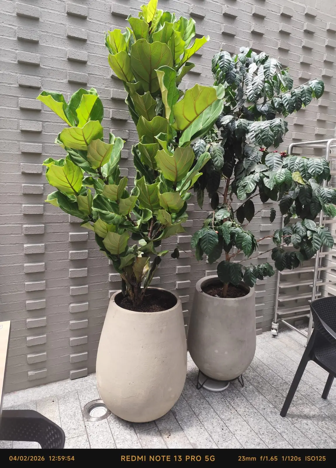 Proyecto de paisajismo y diseño de jardines · Plantemos Bogotá #68