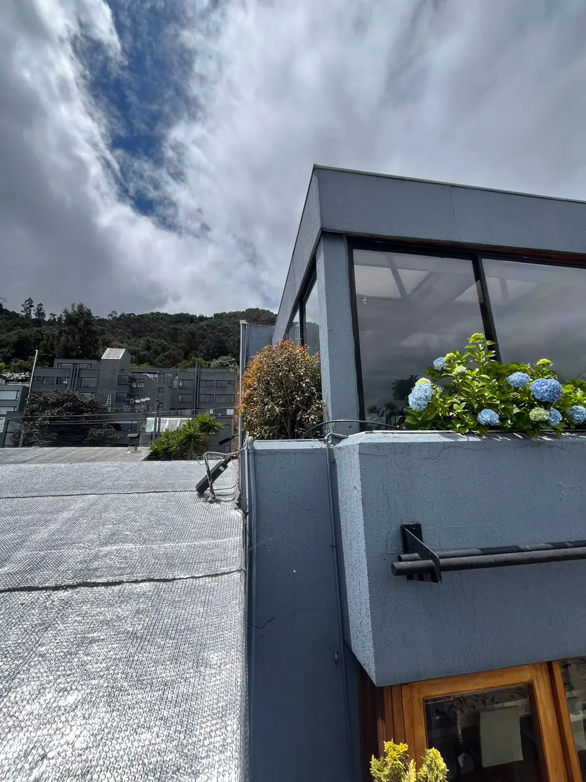 Proyecto de paisajismo y diseño de jardines · Plantemos Bogotá #70