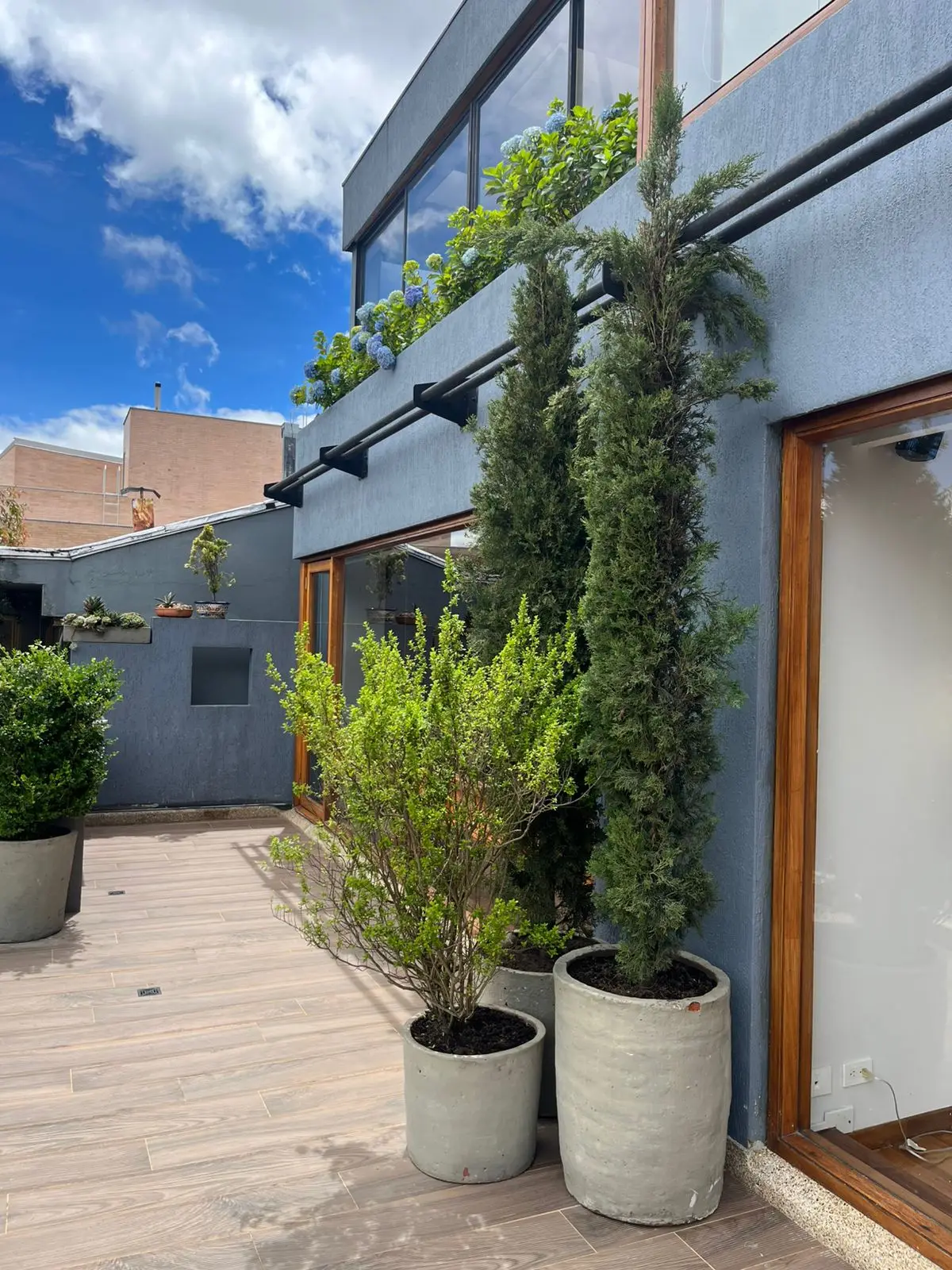 Proyecto de paisajismo y diseño de jardines · Plantemos Bogotá #72