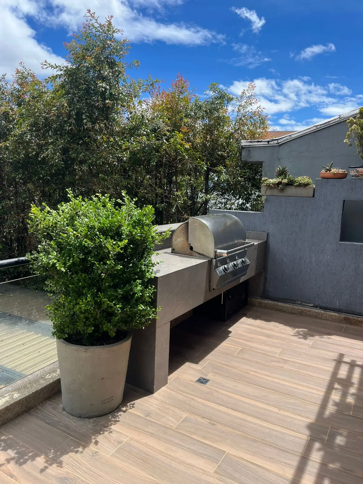 Proyecto de paisajismo y diseño de jardines · Plantemos Bogotá #74