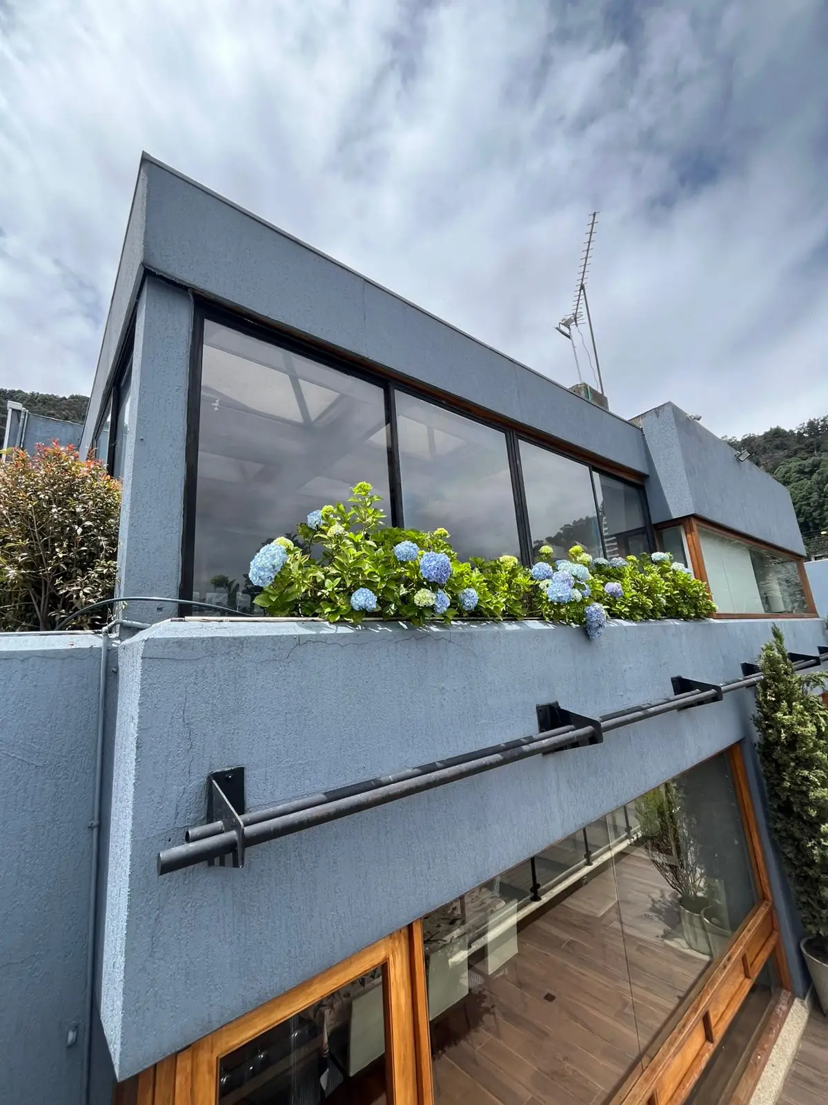 Proyecto de paisajismo y diseño de jardines · Plantemos Bogotá #75