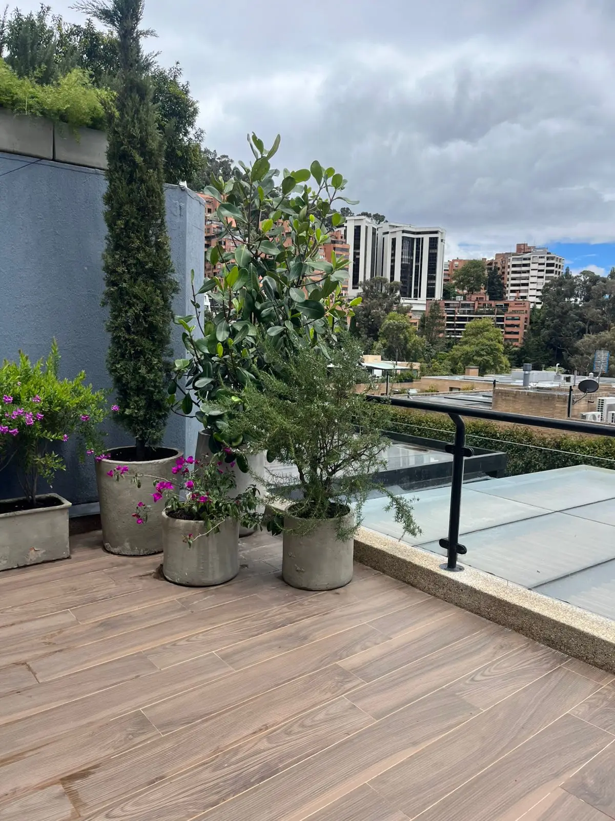 Proyecto de paisajismo y diseño de jardines · Plantemos Bogotá #78
