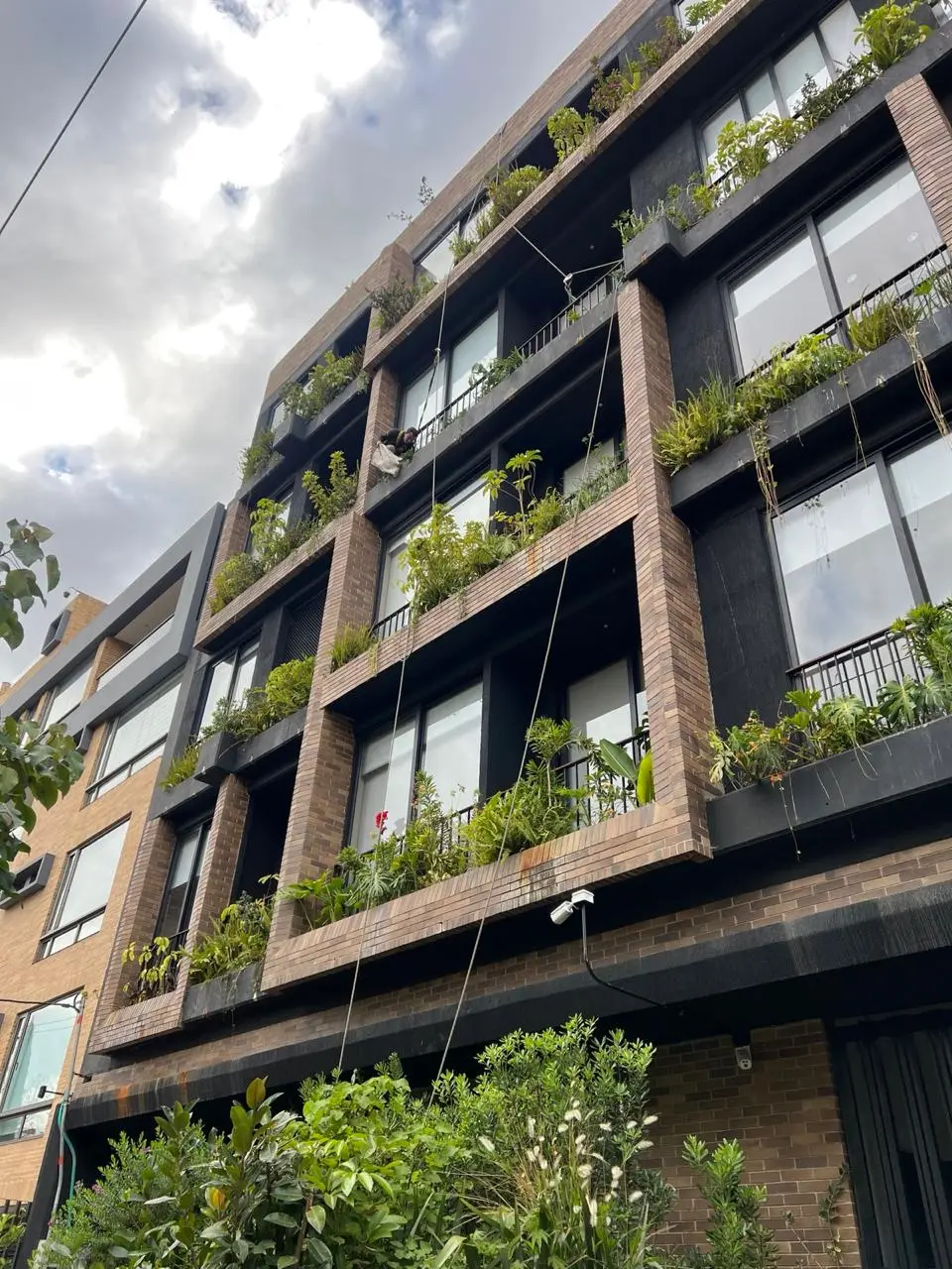 Proyecto de paisajismo y diseño de jardines · Plantemos Bogotá #98