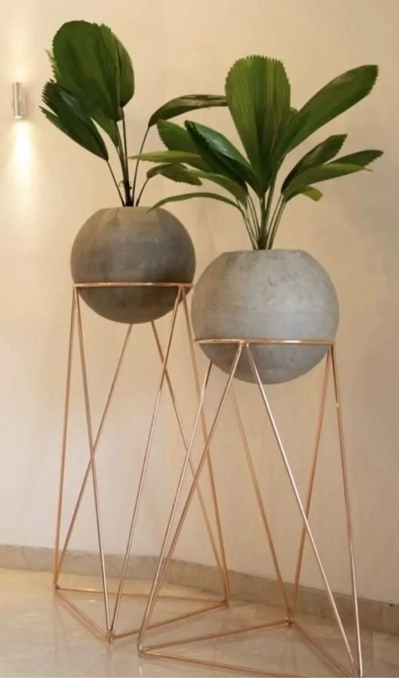 Composición de plantas y decoración con plantas · Plantemos #1