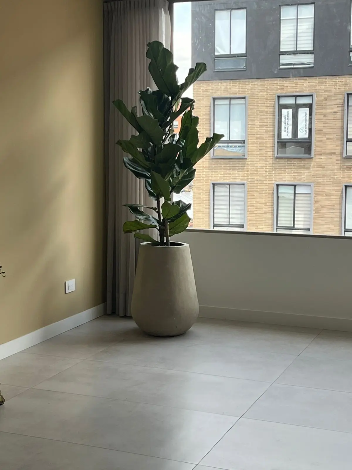 Composición de plantas y decoración con plantas · Plantemos #13