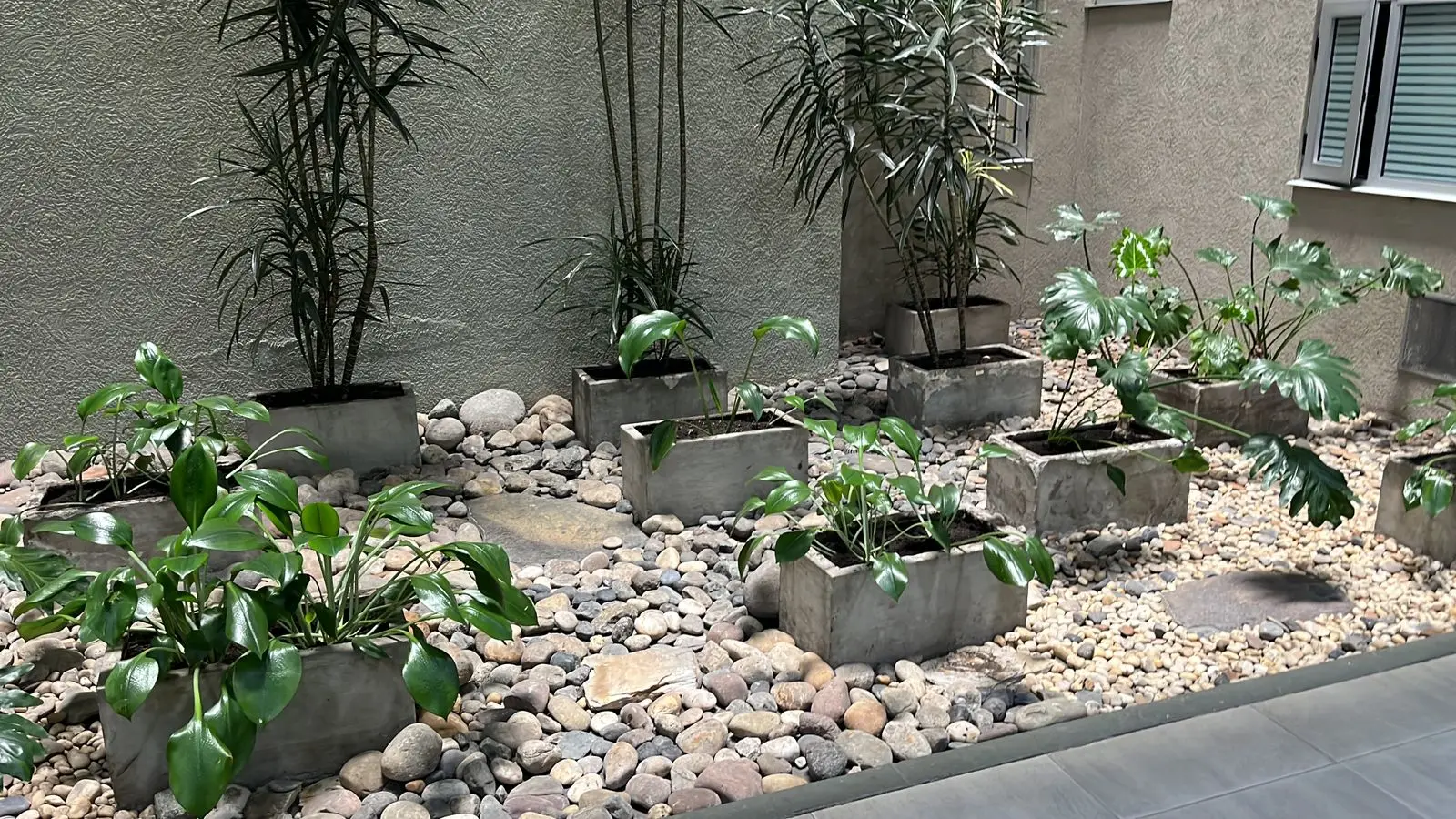 Composición de plantas y decoración con plantas · Plantemos #17