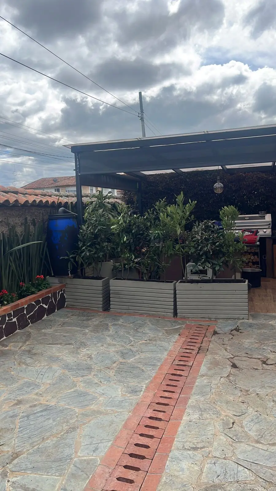 Composición de plantas y decoración con plantas · Plantemos #18