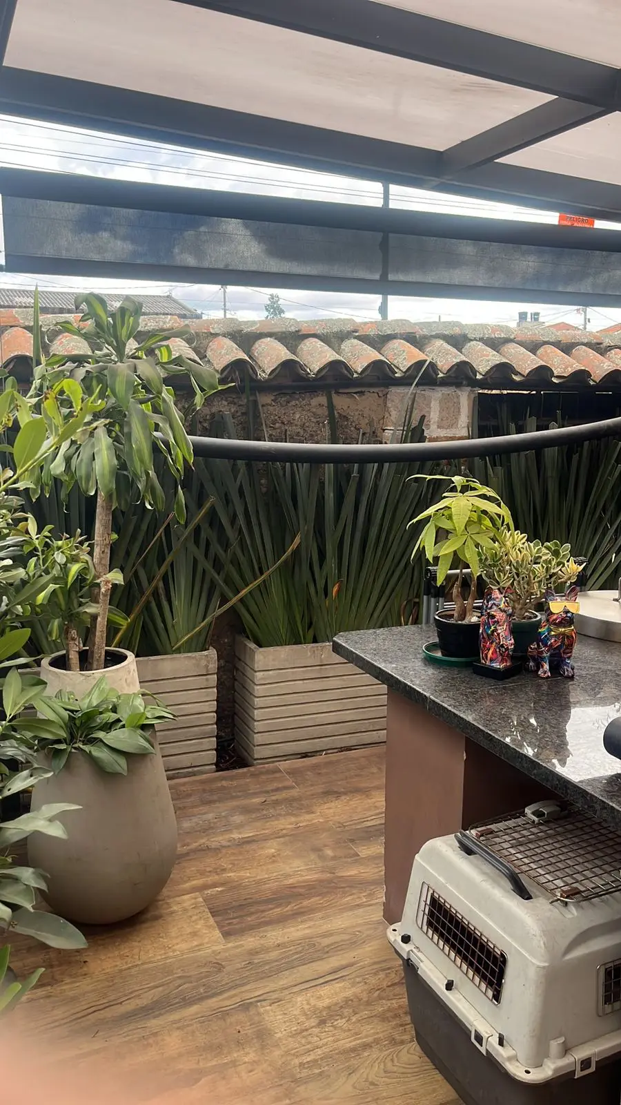 Composición de plantas y decoración con plantas · Plantemos #19