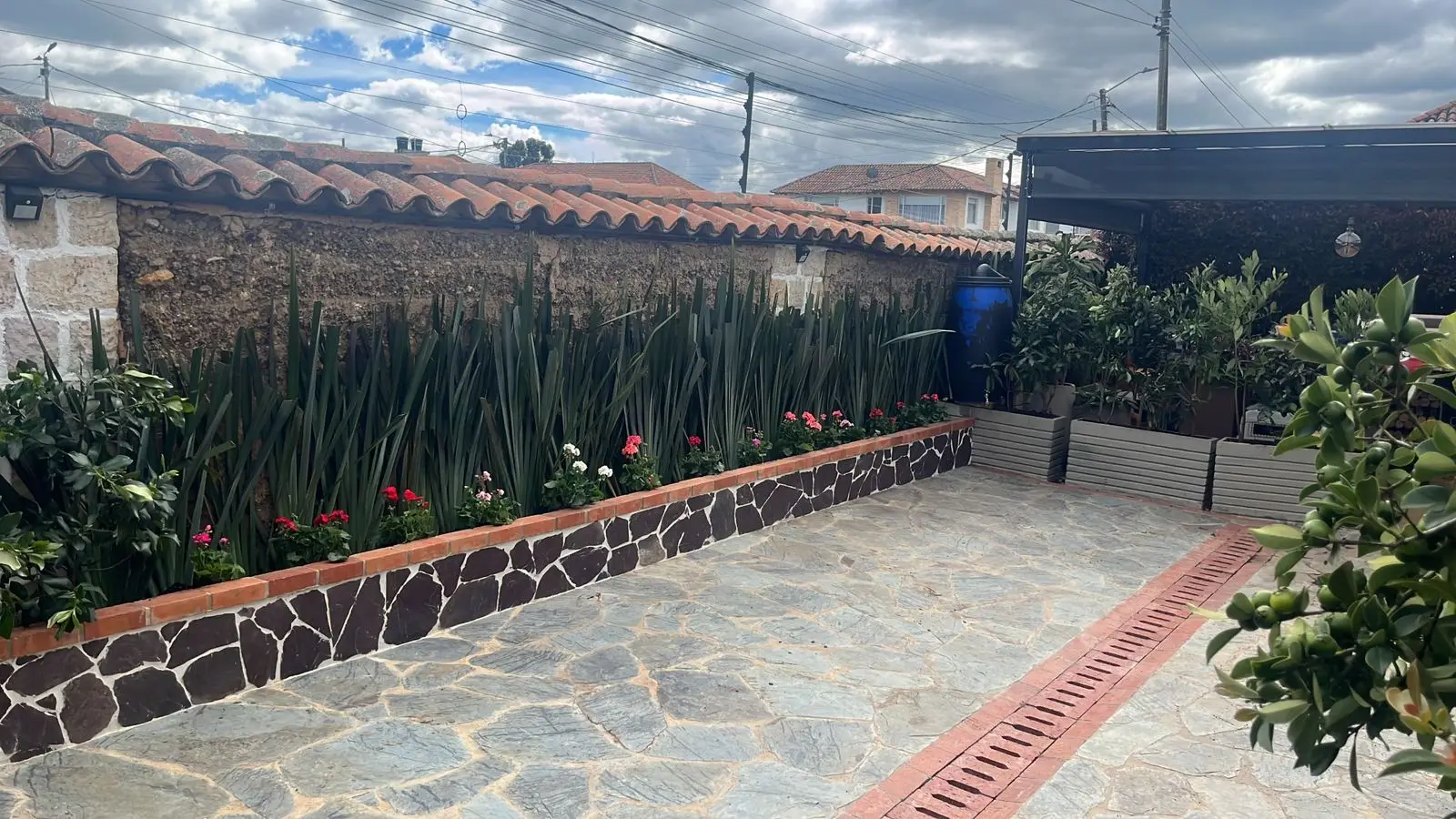 Composición de plantas y decoración con plantas · Plantemos #20